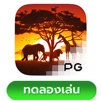 Safari Wilds​